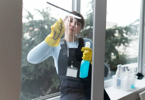 Nettoyage de vitres intérieures et extérieures à la Guiche